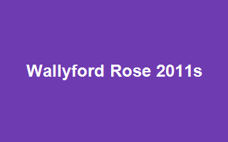 Wallyford Rose 2011s